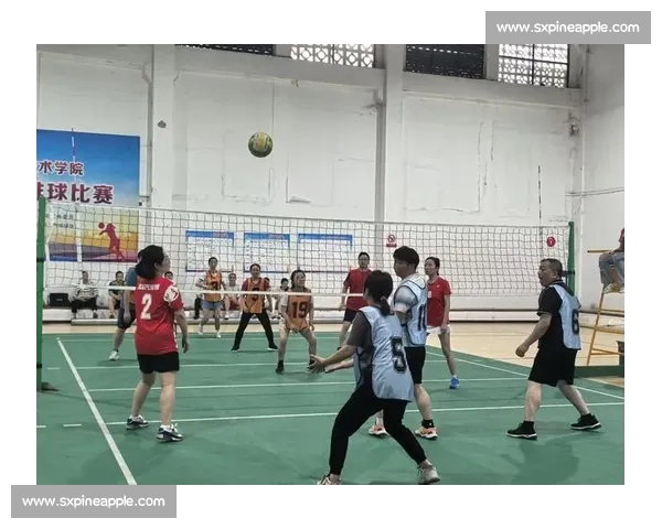 排球赛场激情四溢 高水平对决展现团队协作与个人魅力