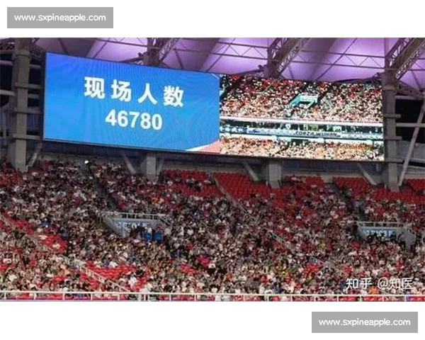 新手入门指南教你轻松理解各类体育比赛规则和观赛技巧